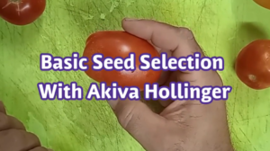 Basic Seed Selection