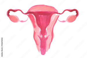 ARM Episode #38: Menstruation